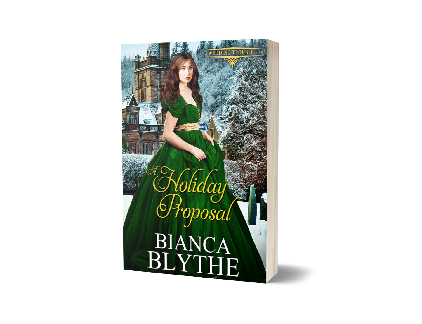 A Holiday Proposal (PAPERBACK)