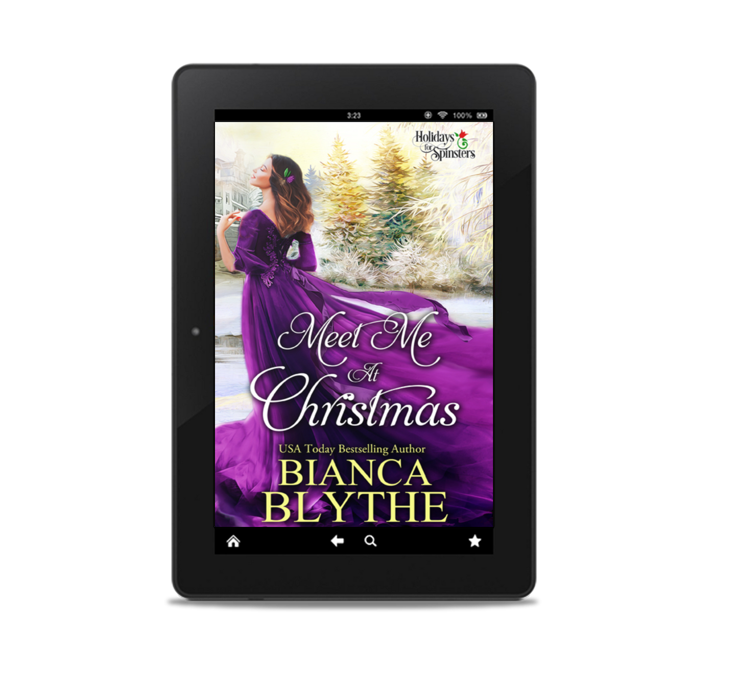 Meet Me at Christmas (EBOOK)