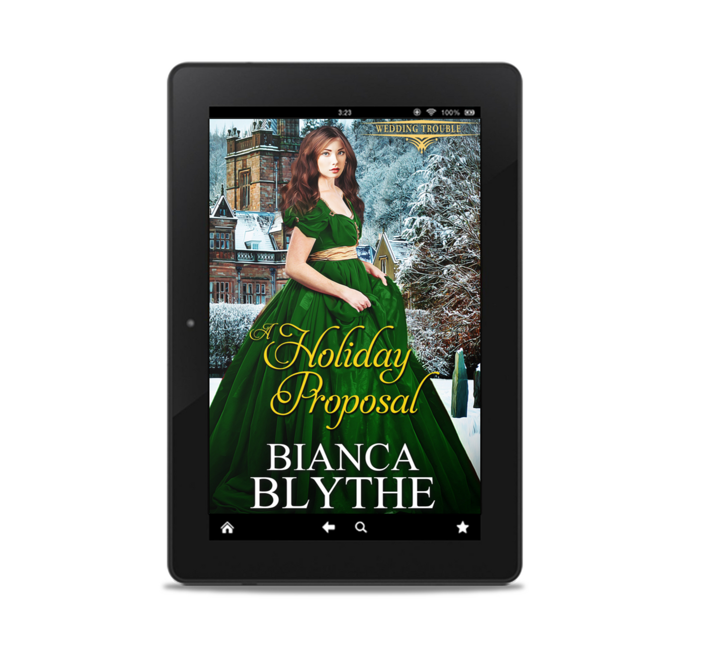 A Holiday Proposal (EBOOK)